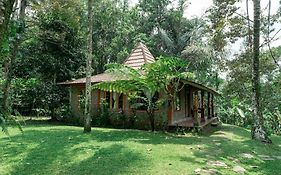 Saridevi Ecolodge