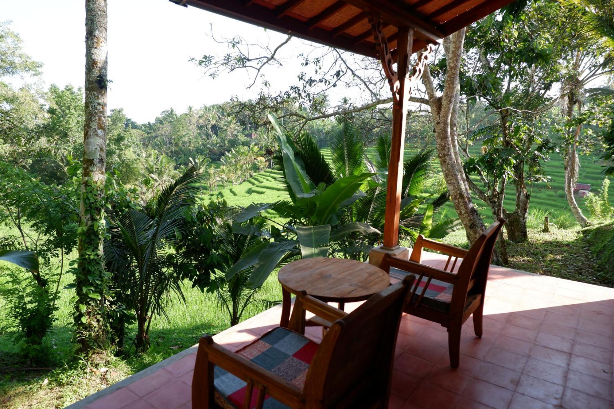 Saridevi Ecolodge Jatiluwih Buitenkant foto