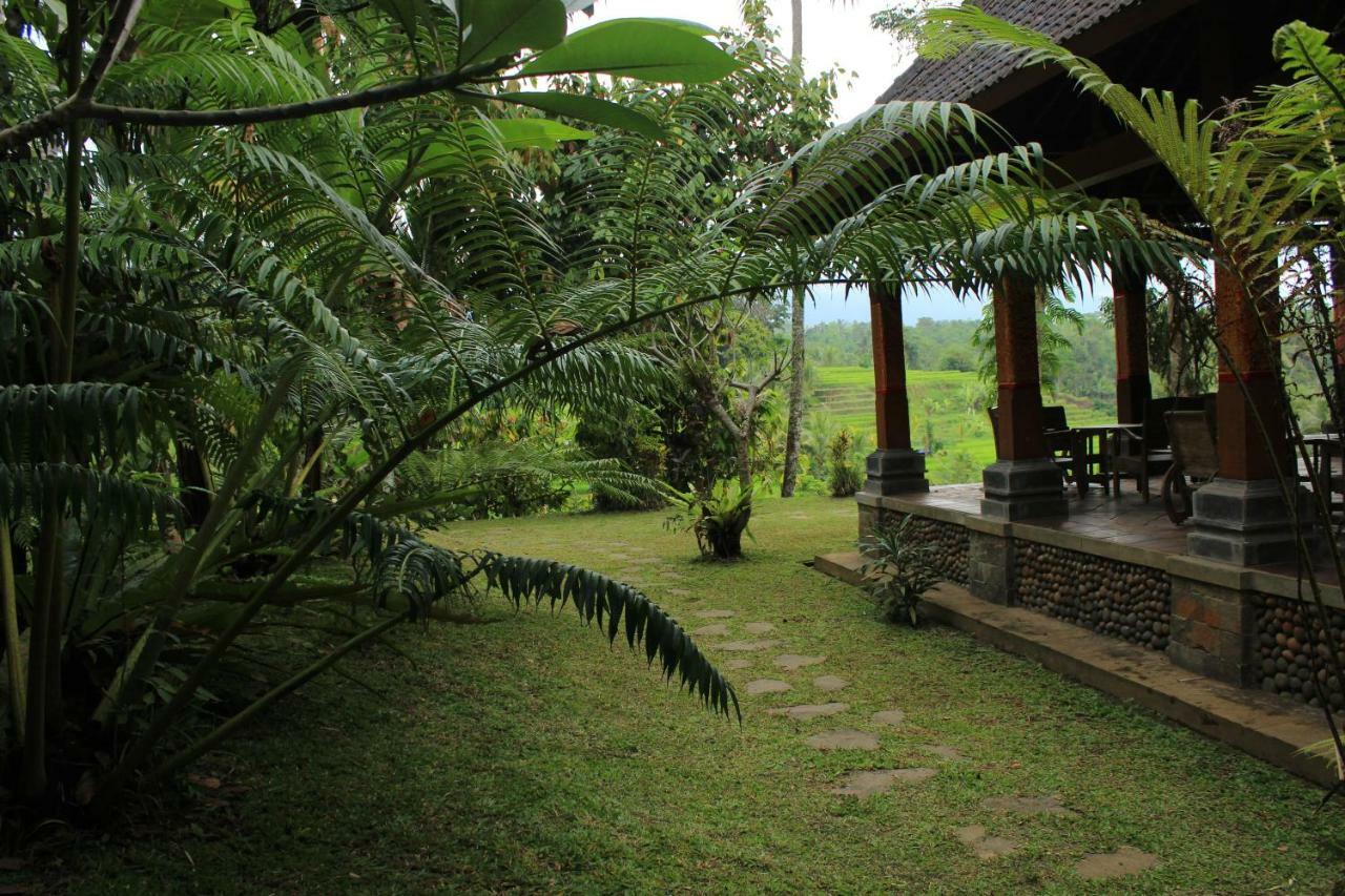 Saridevi Ecolodge Jatiluwih Buitenkant foto