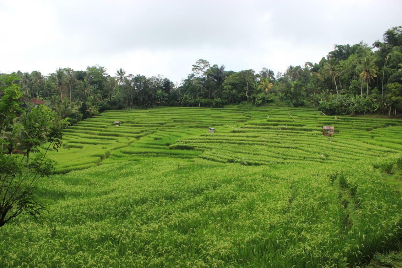 Saridevi Ecolodge Jatiluwih Buitenkant foto