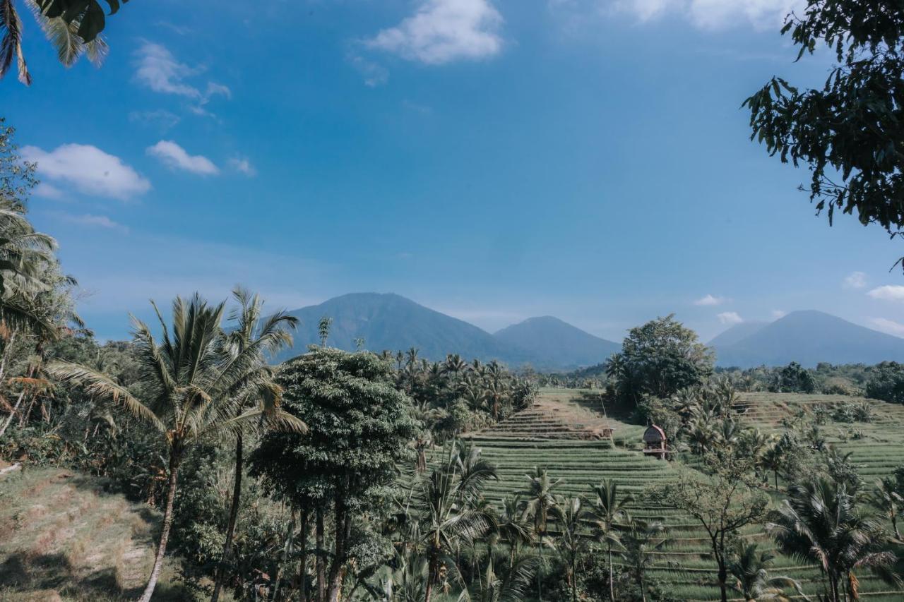 Saridevi Ecolodge Jatiluwih Buitenkant foto